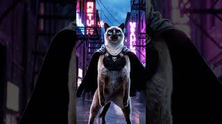 A Silent Cat Becomes a Short-Film Legend #SilentLegendCat