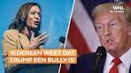 Kan Harris het eerste debat van Trump winnen? 'Iedereen ... - YouTube