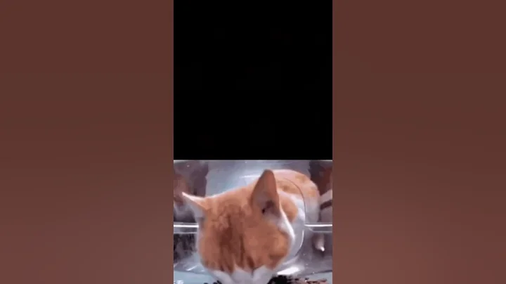 Something is not right