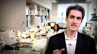 Découverte Qs 2012 N5 - Deux Avancées Contre Le Tremblement Essentiel