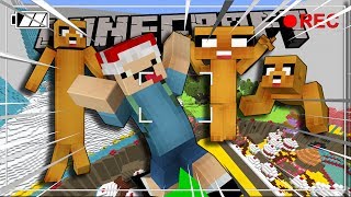 GIỜ PHIÊU LƯU CỦA OOPSCLUB - Minecraft Hide And Seek