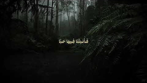 ﴿ فَلْيَنظُرِ الْإِنسَانُ إِلَىٰ طَعَامِهِ﴾ القارئ #انس_الميمان#quran