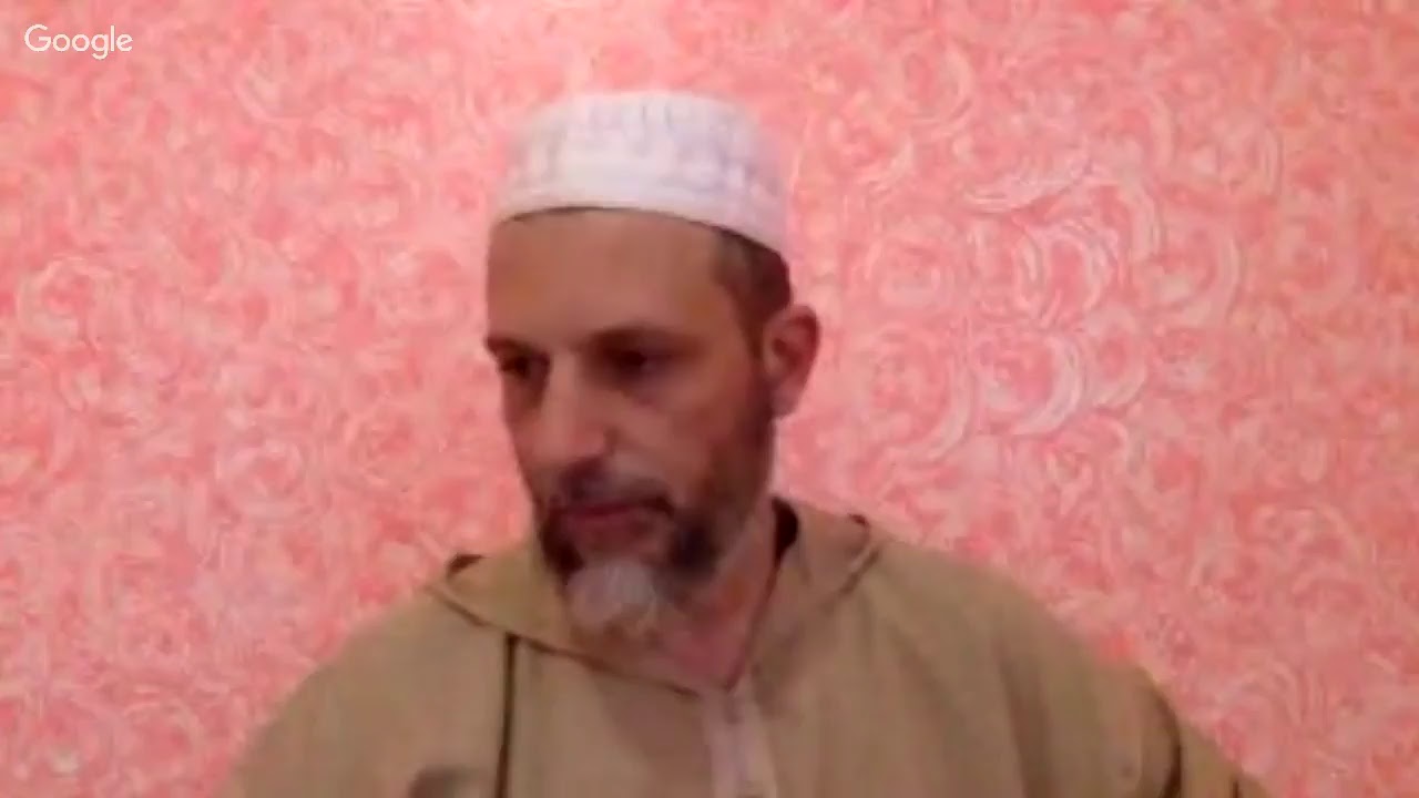 Is Cat Halal In Maliki Fiqh