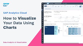 How to Visualize Your Data Using Charts: SAP Analytics ... | Doovi