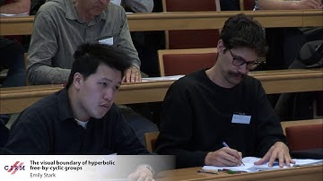 Emily Stark: The visual boundary of hyperbolic free-by-cyclic groups