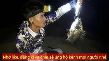 câu cá tráp khủng😅😅😅