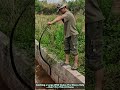 Catching a Large Wild Snake: Pro Moves Only—Don’t Try This At Home