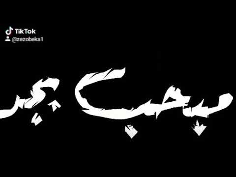 احله حلات واتس مهرجان 2020 حب مين مبحبش حد