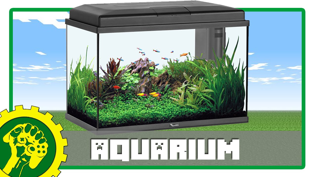 Minecraft Tutorial Membuat Aquarium YouTube