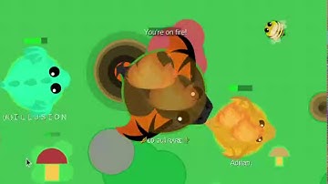 I Almost Got KD For The First Time (Mope.io)