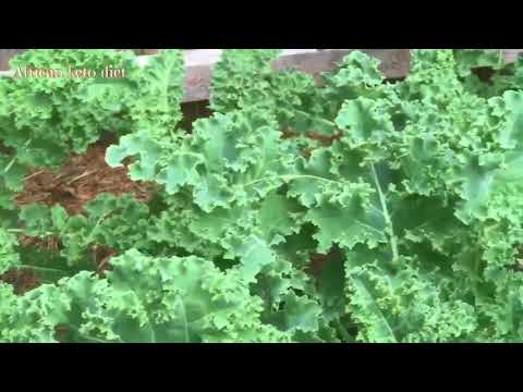 HOW TO PRUNE KALE FOR A HIGH YEILD//GARDEN2TABLE