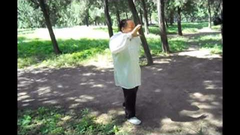 Liang BaGuaZhang Fixed 8 Palms Breakdown: 7th Palm