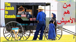 تعرف على الأميش وكيف يعيشون بدون كهرباء ولا تكنولوجيا | Amish