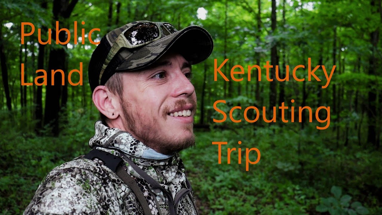 Public Land Scouting in Kentucky - YouTube