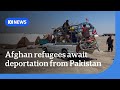 پناهندگان افغان از اخراج اجباری از پاکستان ابراز تاسف می کنند جهان اخبار ABC 