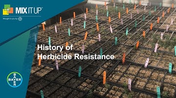 Herbicides: Managing Resistant Weeds in Corn and Soybeans