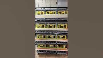 New hatching time quail cage from #hatchingtime!