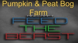 How To Feed The Beast:Pumpkin Farm & Peat Bog
