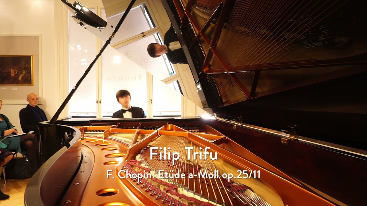 Filip Trifu - Young Talent @ Bösendorfer Salon in cooperation with 