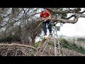 Funniest Tree Cutting Fails 2