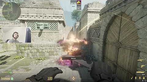 Source 2 - CAT MOLLY FROM T SPAWN - Ancient