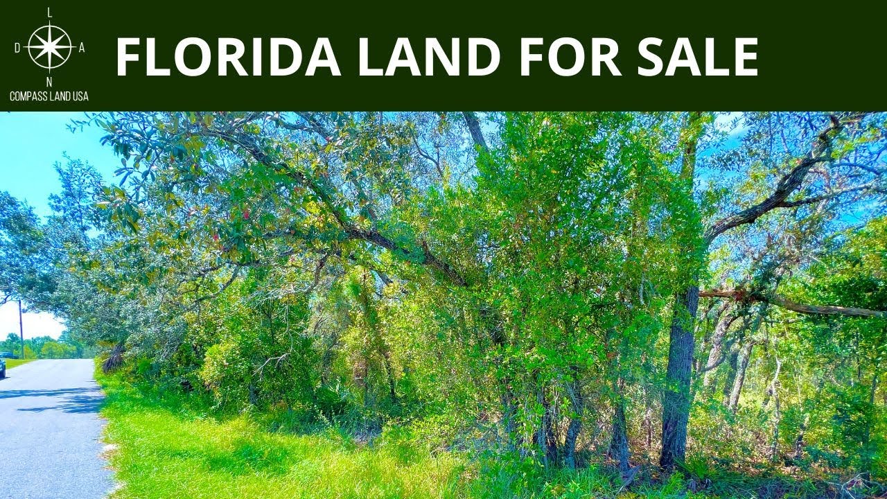 SOLD - 0.46 Acres – With Power & Paved Road Access! In Brooksville, Hernando County FL