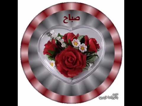 042شارع هارون الرشيد مصر الجديده