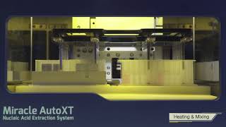 [iNtRON] Miracle AutoXT