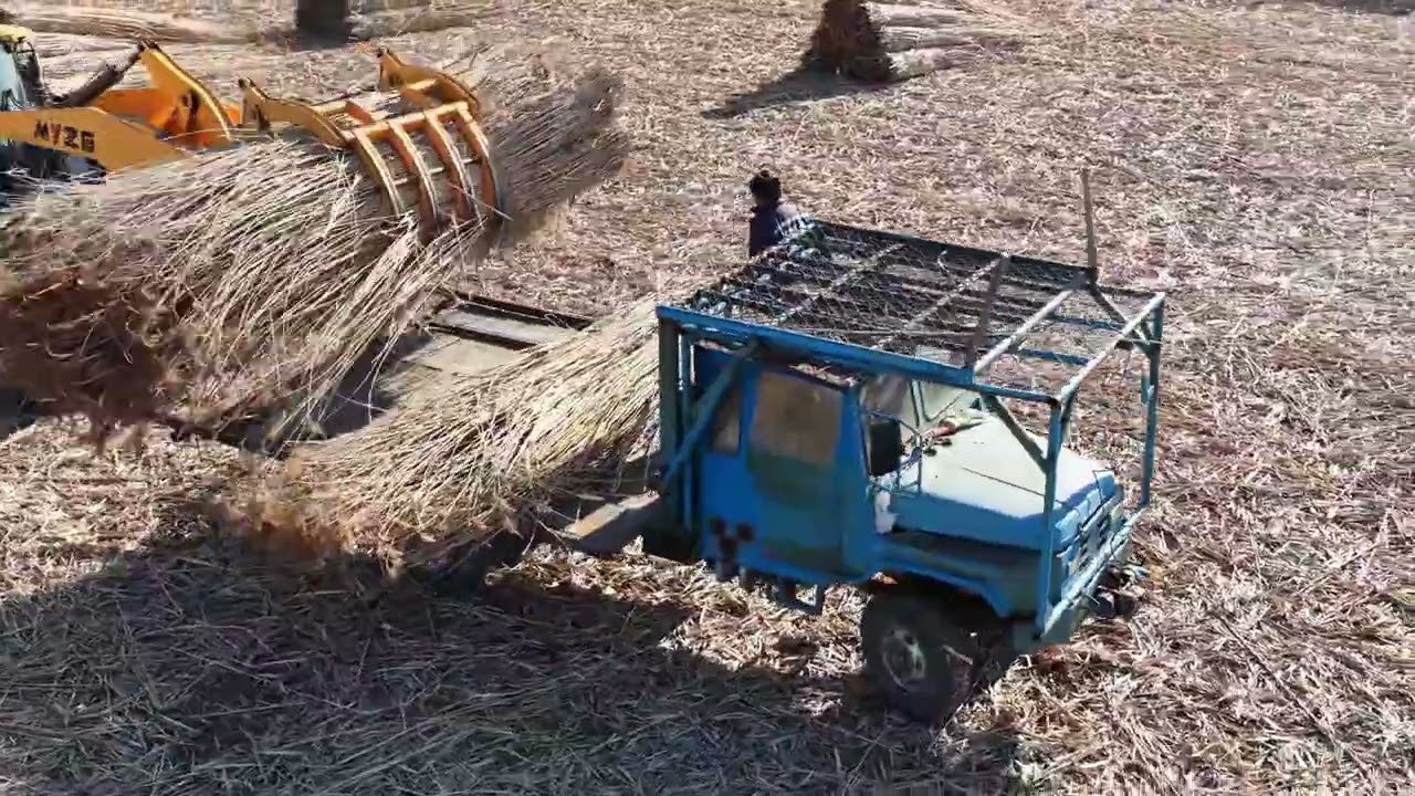 Choose the one that best fits your brand tone—all are concise, professional, and sustainability.