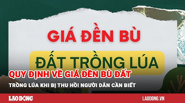 Quy định về giá đền bù đất trồng lúa khi bị thu hồi người dân cần biết| Báo Lao Động