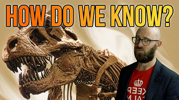 Everything Dinosaurs- When Did We Discover Dinosaurs, How Do We Know How Old They Are and Much More