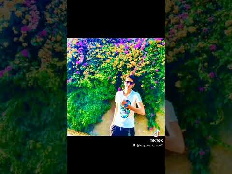 ديدين كلاش La Conon16