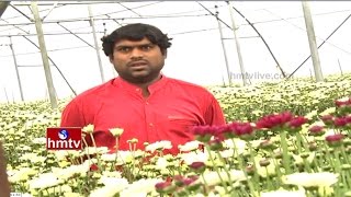 Nizamabad Ideal Farmer Earn Profits From Chamomile Cultivation in Polyhouse | Nela Talli | HMTV