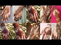 New Style Eid Mehndi Design | Best Mehandi Cone | Henna Design | Mehndi Design | Mehandi Design