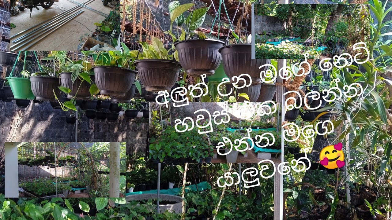 අලුත් වුණ මගේ නෙට් හවුස් එක බලන්න එන්න මගෙ යාලුවනේ 🥰