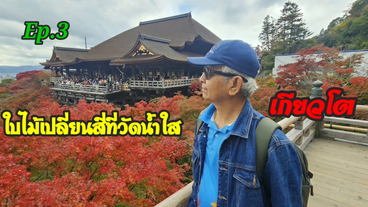 Ep.3 เที่ยวญี่ปุ่นด้วยตัวเอง 5คืน6วัน ชมใบไม้สีแดงที่วัดน้ำใส|เกียวโต