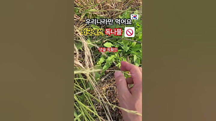 한국밥상에는 자주보는 나물 하지만 외국에서 독나물 취급