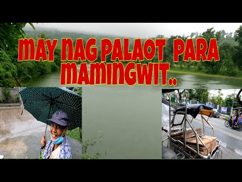 Video: Araw Ng Libangan