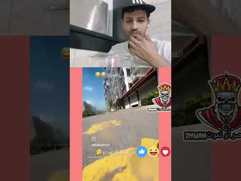 القط ديلي مسكن مكيخرش كيقنط القط