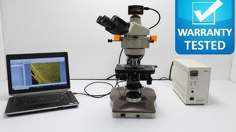Nikon Labophot 2 Fluorescence Microscope [BOSTONIND] - 31937
