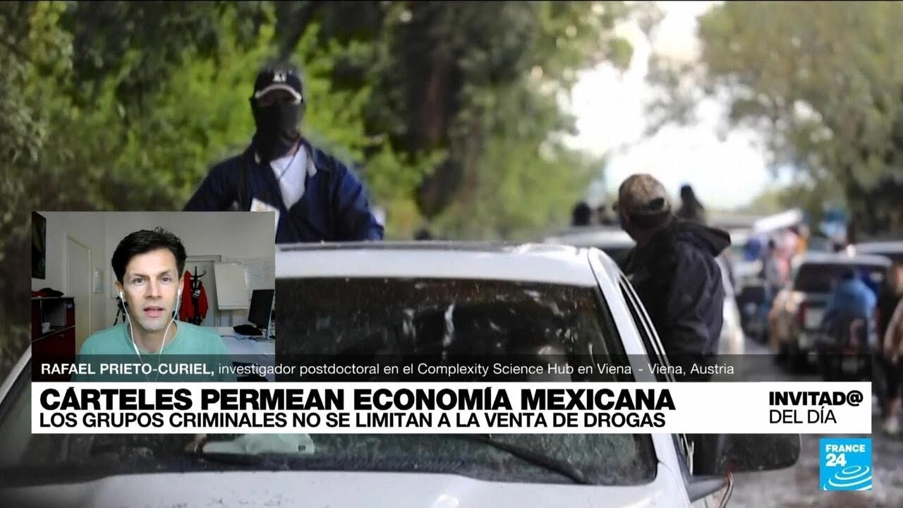 ¿Cuál es la relevancia del crimen organizado en la economía de México ...