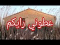 حكاية رانيا طالبة رايكم 
