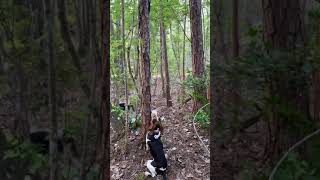 IMG 0661