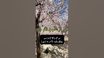 Surat Al-Falaq (The Daybreak) | Qari Abdul wahab chang  | MuslimXT | سورة الفلق