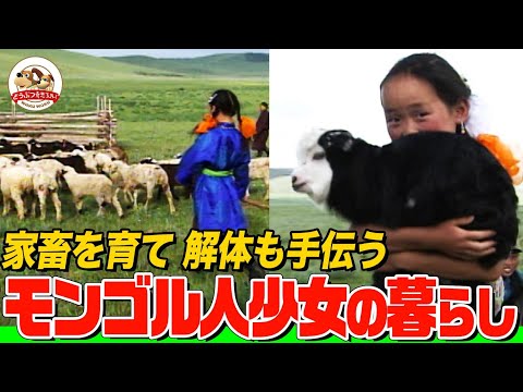 現代のぐうわ２〈動物編〉　わらう動物 カスミちゃんとぽんぽこ🐨🎈 20250712 🙅‍♀️無断転載禁止です