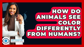 How Do Animals See Color Differently From Humans? - Optometry Knowledge Base