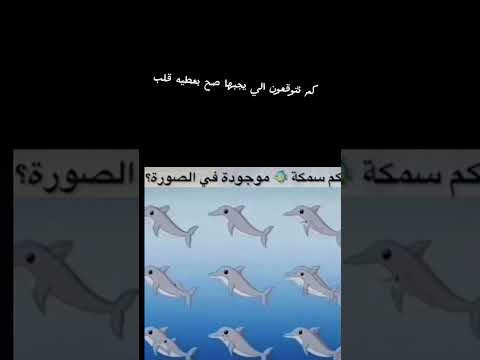كم سمكه موجودة في الصورة