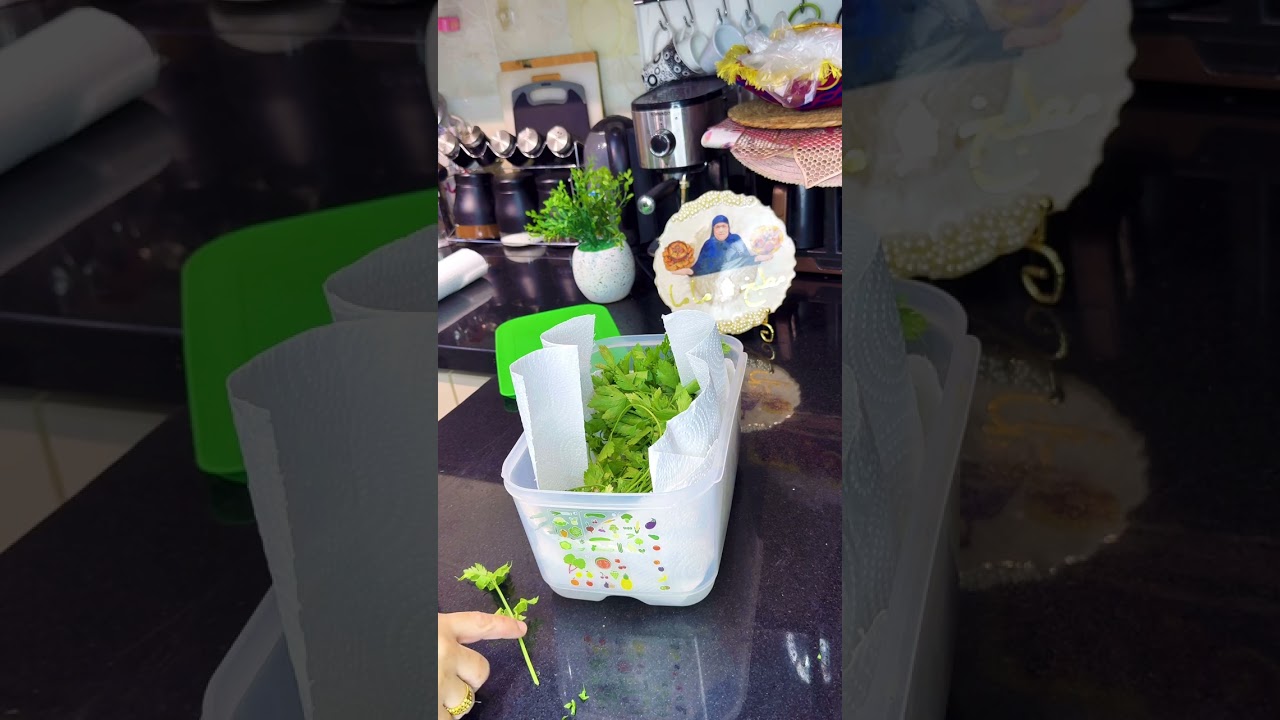 تفريز الخضره لسنه كامله بكيس الشيبسي🫣💪🏻بطريقة مرات خالي الله يرحمها وامي 🤲🤲