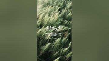 سورة البقرة الشيخ ماهر المعيقلي #القرآن_الكريم