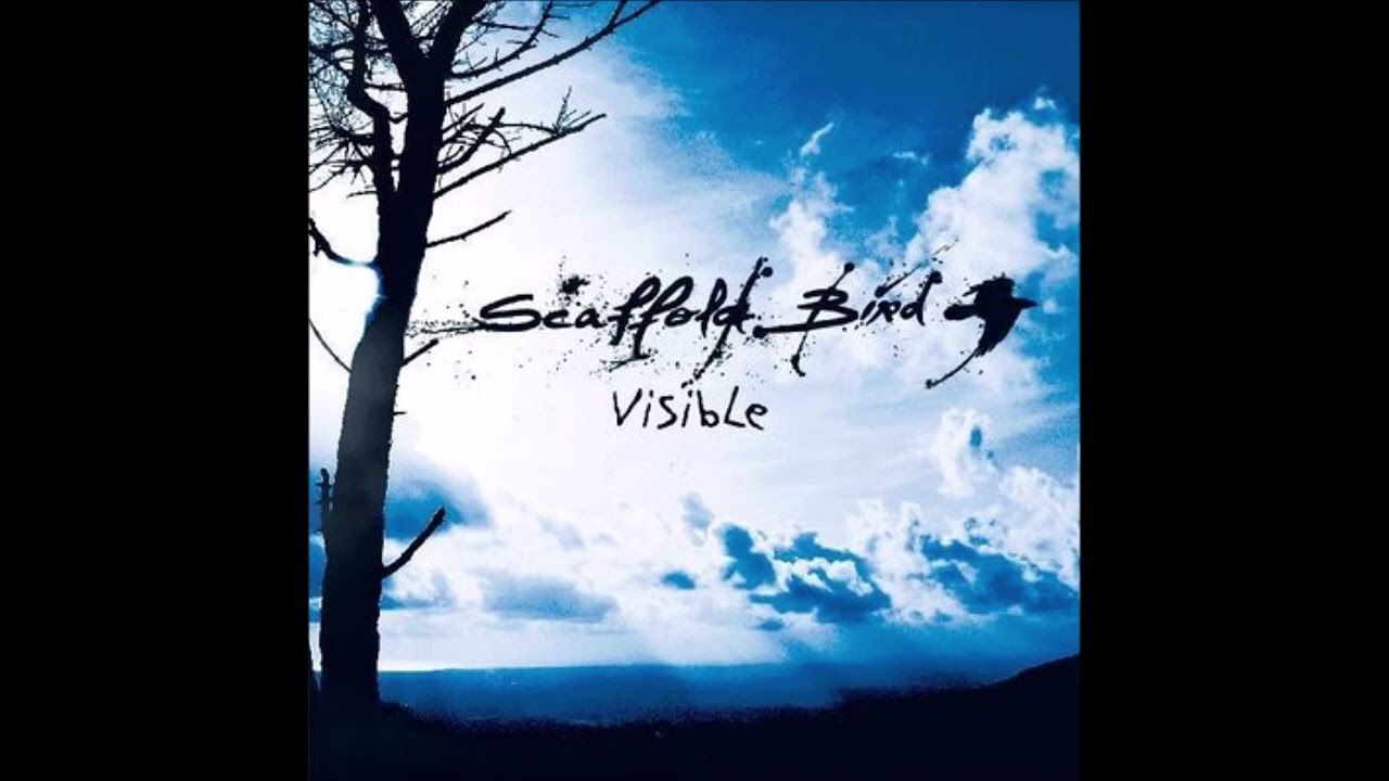Scaffold Bird - Visible (EP STREAM)